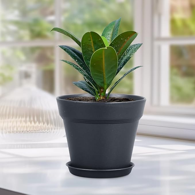 6 inch Nursery Pots, 16 Pack Plastic Plant Pots for Indoor Outdoor Plants, Flower Pots with Drainage Holes and Saucers, Decorative Seedling Starter Planters for House Plants, Black