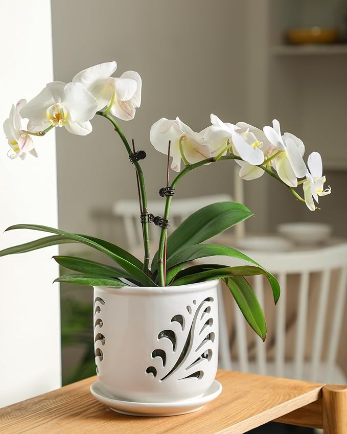 Ceramic Orchid Pot, 6 Inch Orchid Pots with Holes and Saucer for Indoor/Outdoor Plants Drainage & Air Circulation, White Orchid Planter for Repotting or New Plants