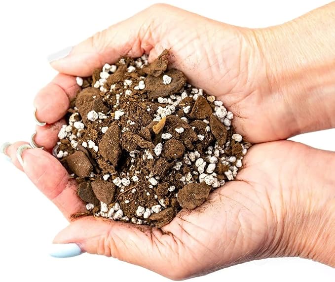 Premium Aloe Vera Potting Soil Mix - (1 Quart Bag)