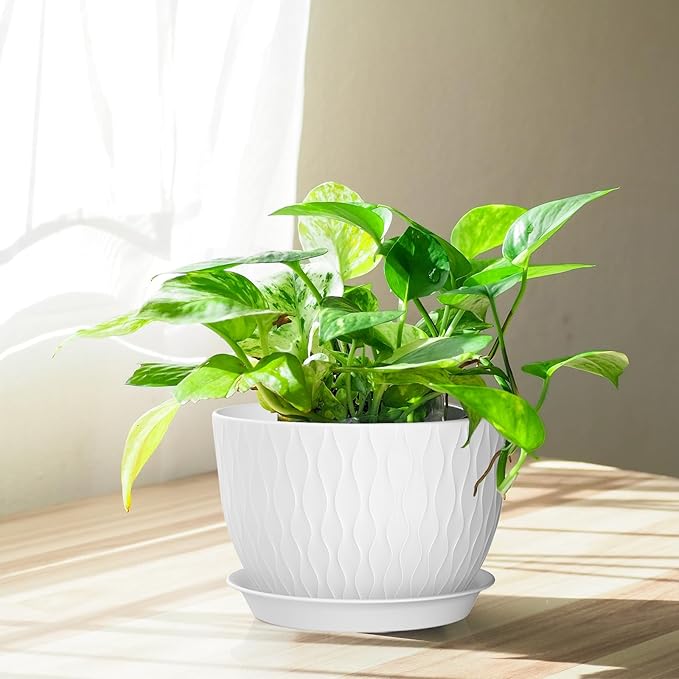 Plant Pots 12/10/9 Inch Pots, Set of 3 Plastic Planters with Drainage Holes and Saucers,Plastic Flower Pots,Nursery Planting Pot for Indoor Out Door Plants(White)