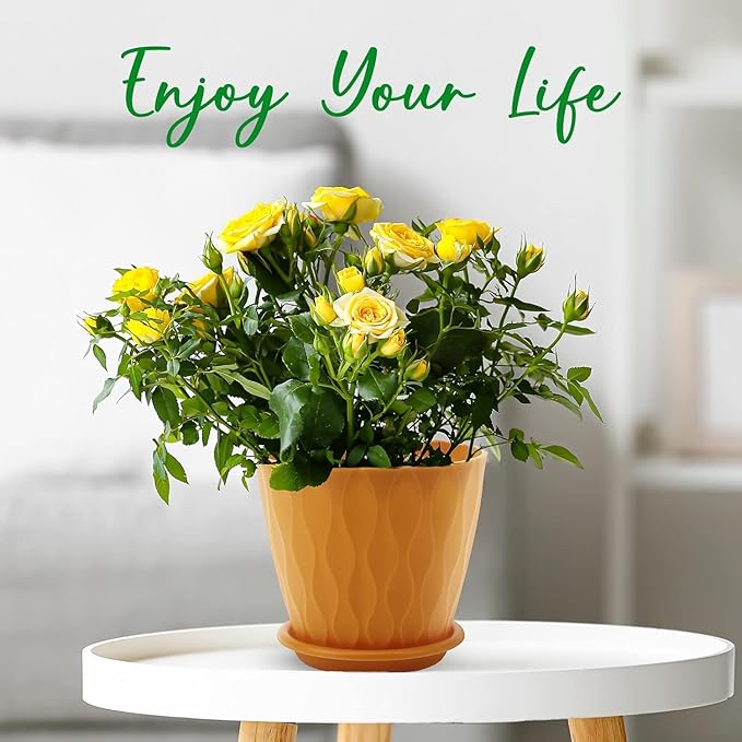 6 inch Plant Pots, 5 Pack Flower Pots Outdoor Indoor, Planters with Drainage Holes and Tray Saucers(Multicolor)