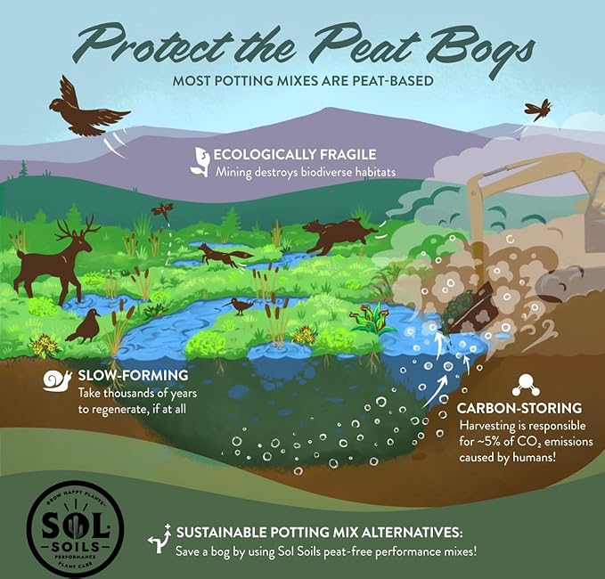 Sol Soils Cactus Gritty Mix (1 Gallon)