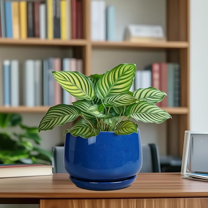 G EPGardening Round Ceramic Plant Pots - 7 Inch Modern Planter with Drainage and Plant Saucer for Indoor Outdoor Flower, Round Office Decor, New Gifts for Home, Blue