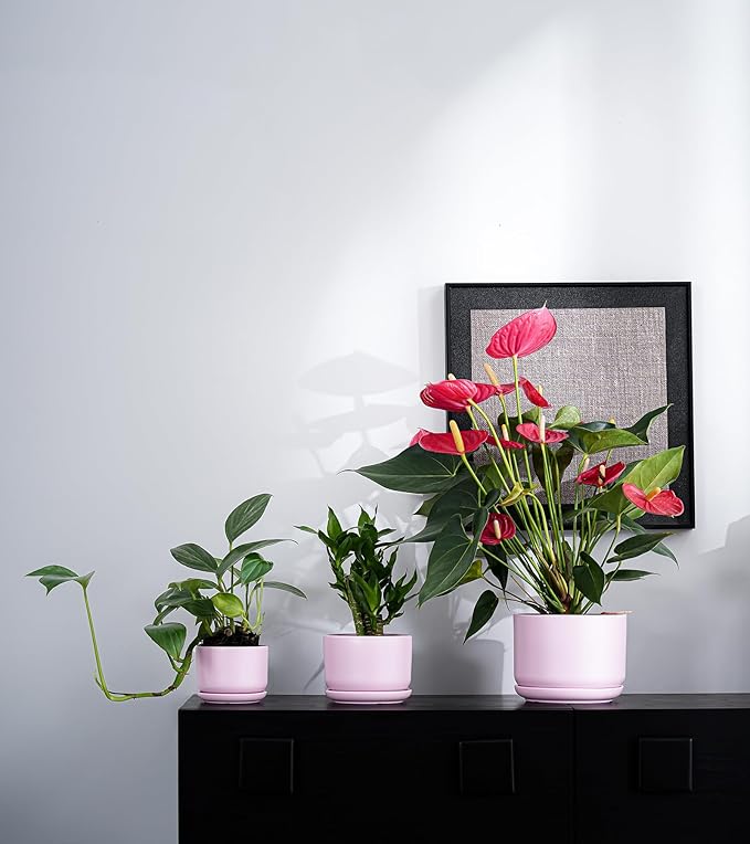 Ton Sin Plant Pots, 4.1+5.1+6.5 inch, Set of 3, Ceramic Planters with Drainage Hole and Saucer, Indoor Flower Pot with Hole Mesh Pad, Gifts for Mom(Matte Pink)