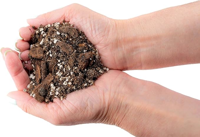 Fiddle Leaf Fig House Plant Soil Premium All Purpose Blend - Peat Moss, New Zealand Bark, Coco Chips and Fibers, Perlite - 4 Quart Bag