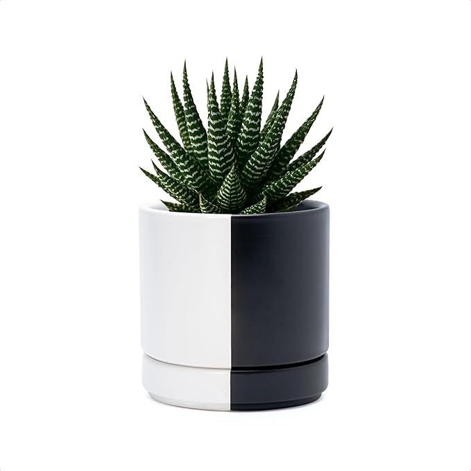 D'vine Dev 4.7 Inch Ceramic Planter Pot with Drainage Hole and Saucer, Indoor Cylinder Round Planter Pot, Split Monochrome Black & White, 94-O-B-0