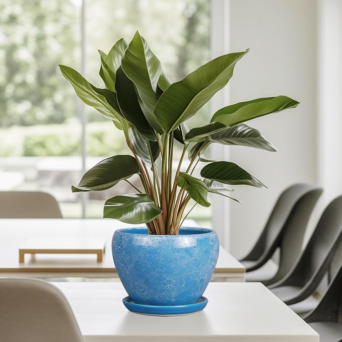 6 Inch Plant Pot - Ceramic Planter Pot with Drainage Hole and Saucer, Glaze Succulent Pot Modern Round Flower Pot for Indoor Plants, Blue