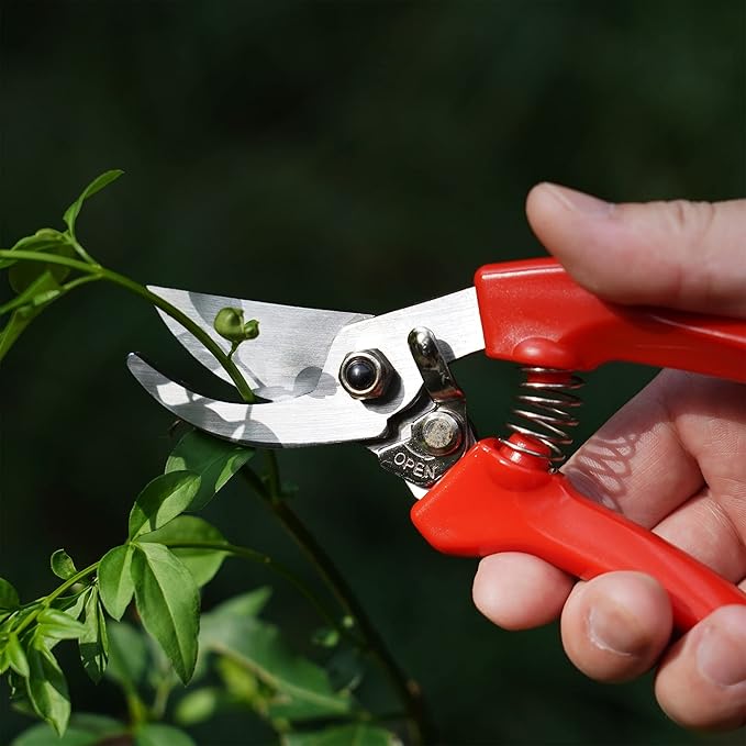 BUGUI Pruning Shears Garden Shears - Premium Alloy Steel Bypass Pruner, Precision-ground Blades, Heavy Duty Gardening Tools, 7" (H201)