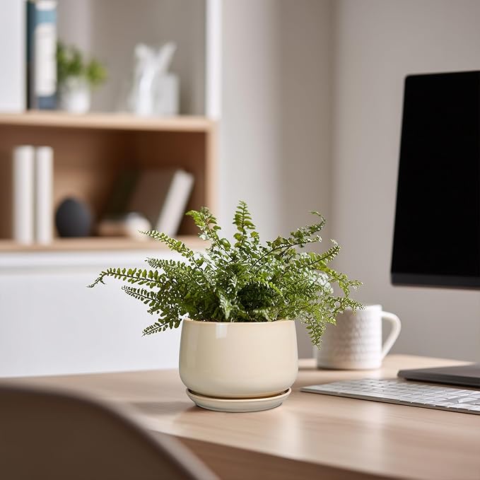 G EPGardening 4 inch Plant Pots - Ceramic Planter with Drainage Hole & Saucer, Small Plant Pots for Indoor Outdoor, Round Succulent Pot, Modern Decorative Flower Pot, Desk Decor, Garden Gifts, Beige