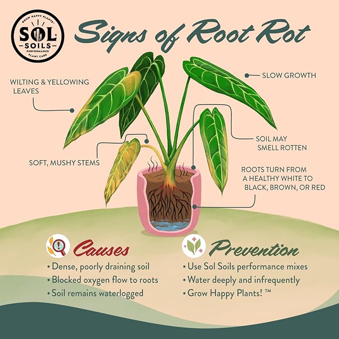 Sol Soils Succulent Gritty Mix 1 Gallon - Fast Draining Peat Moss Free Succulent Soil Potting Mix with Coconut Husk Chips, Perlite & Pumice