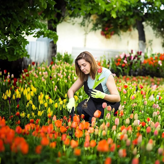 Stainless Weeding Artifact Uprooting Weeding Tool, Stainless Steel Forged Weed Puller 4 Teeth Dual Purpose Weeder, Hand Weeder Tool for Gardening with Long Handle (Black 2Pcs)