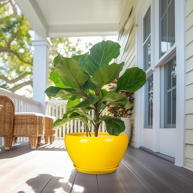 Ceramic Planter for Indoor Plants - 13 Inch Mid-Century Decorative Modern Large Plant Pot with Drainage Hole and Saucer, Home Balcony House Garden Patio Room Office Decor, Yellow