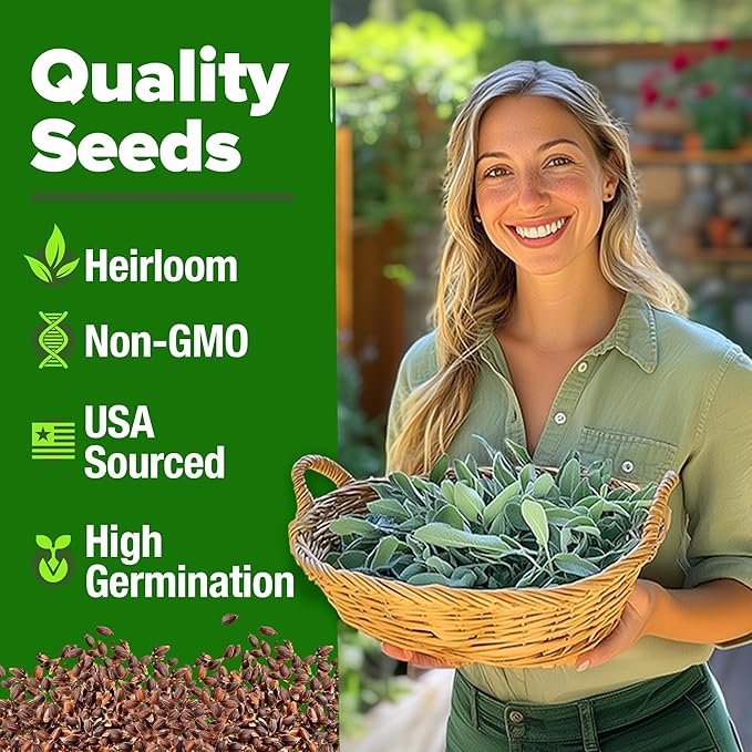 HOME GROWN White Sage Seeds 646 Pack π‘π’π‘-ππ π’, π¨π¦π-π¦π’π¨π₯πππ Heirloom Seeds - Grow Aromatic Sage Plants for Your Herb Seeds Garden with Sage for Planting Outdoor or Indoor (Salvia apiana)