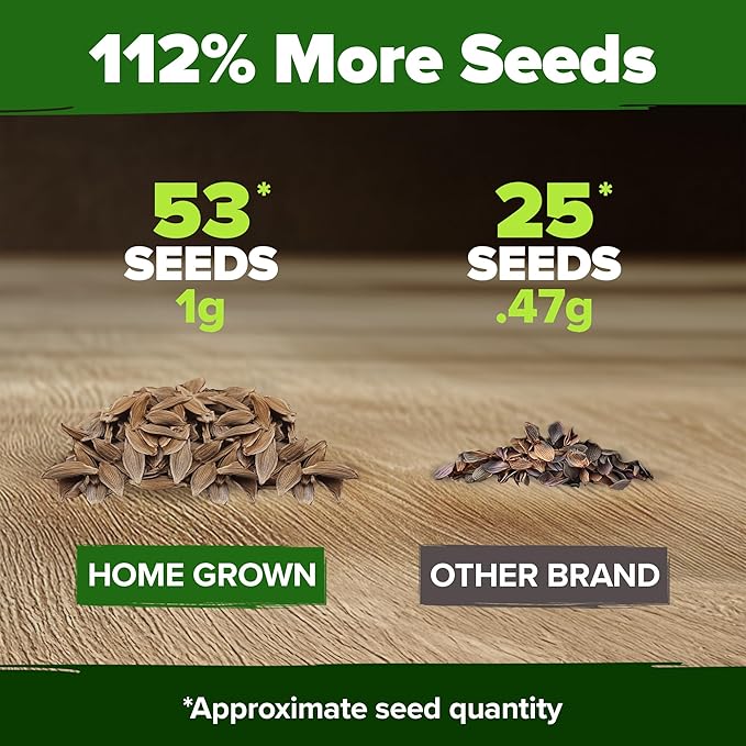 HOME GROWN π¨π¦π 53 White Lilac Flower Seeds Non-GMO, Heirloom Tree Seeds for Planting, Fragrant Flowering Tree Seeds for Landscaping, Pollinator Gardens, and Ornamental Borders (Syringa reticulata)