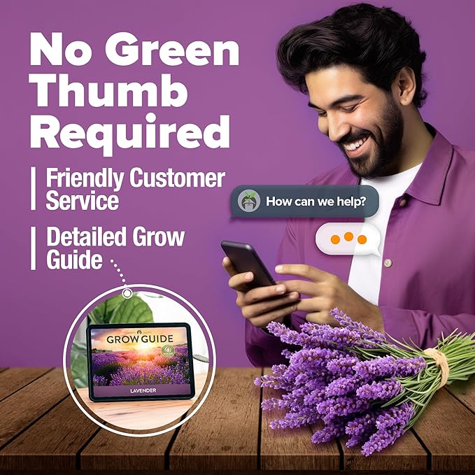 HOME GROWN π¨π¦π π£π₯ππ ππ¨π English Lavender Seeds 2 Pack 3000 π‘π’π‘-ππ π’ Wildflower Seed, for Planting Indoor Outdoor High Germination Flower Seeds (Lavandula antustifolia)