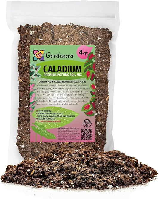 Caladium Potting Mix - Promote Strong Roots and Captivating Patterns with Our Premium Blend - 4 Quart