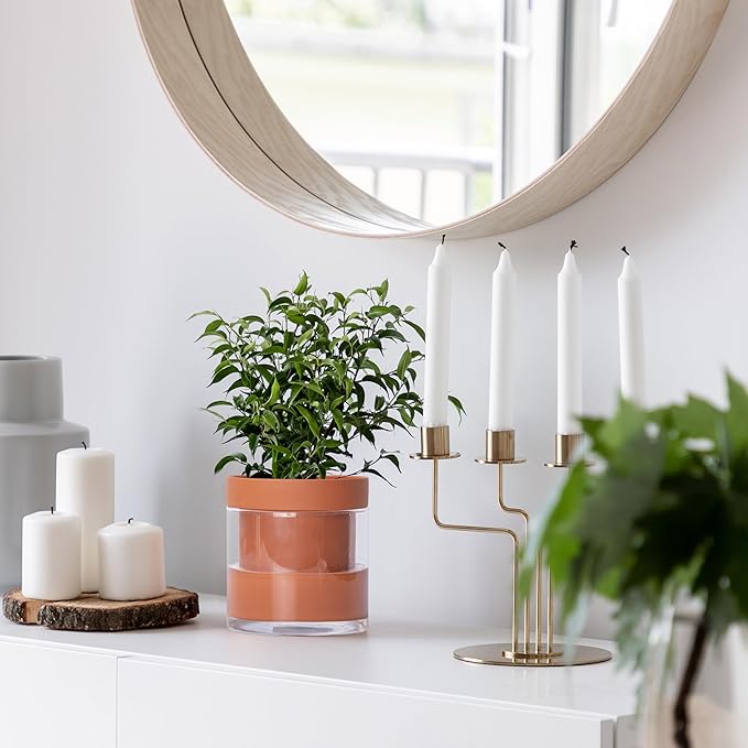 Phoenix Vine 6 Inch Self Watering Planter Pot, Terracotta Clay Pot with Glass Reservoir for Indoor Plants, Herbs, Flowers, Set of 2, 52-A-F-2