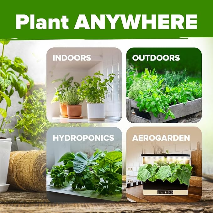 HOME GROWN 5 Herb Seeds for Planting 2,150+ Non-GMO Heirloom Seeds | Extra Large Variety Pack Herb Kit β Indoor Outdoor & Hydroponic | Culinary Seed Set | Grow Your Own Herbs | Gift for Beginners