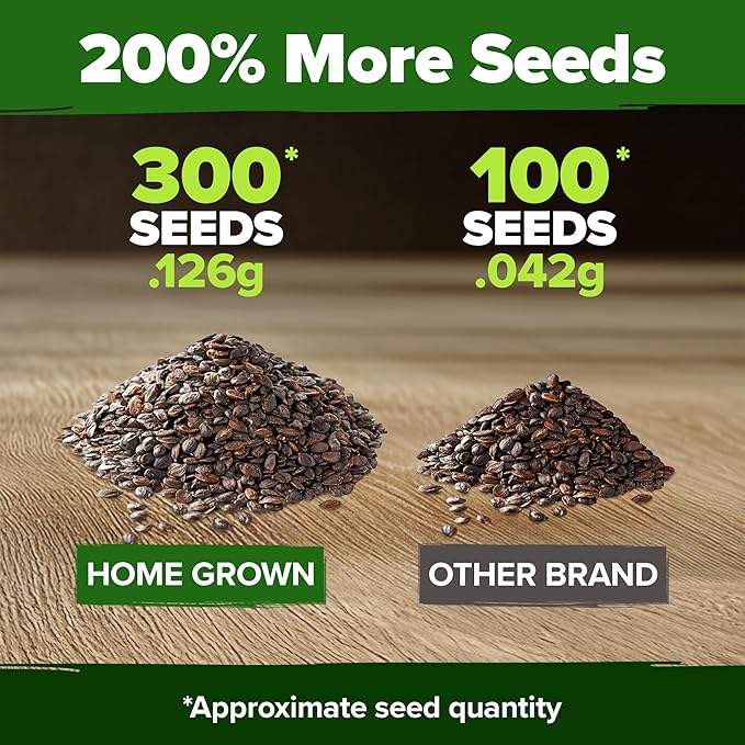 HOME GROWN π¨π¦π π£π₯ππ ππ¨π Aubrieta Rock Cress Purple, Flowering Ground Cover Seed Pack, Perennial Cress Seeds for Planting Outdoor Lawn Gardens 300 π‘π’π‘-ππ π’ Aubrieta deltoidea Flower Seeds