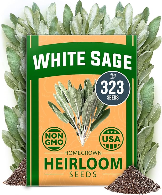HOME GROWN π¨π¦π π£π₯ππ ππ¨π White Sage Seeds 323 Pack π‘π’π‘-ππ π’ Heirloom Seeds - Grow Aromatic Sage Plants for Your Herb Seeds Garden with Sage for Planting Outdoor or Indoor (Salvia apiana)