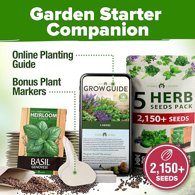 HOME GROWN 5 Herb Seeds for Planting 2,150+ Non-GMO Heirloom Seeds | Extra Large Variety Pack Herb Kit β Indoor Outdoor & Hydroponic | Culinary Seed Set | Grow Your Own Herbs | Gift for Beginners