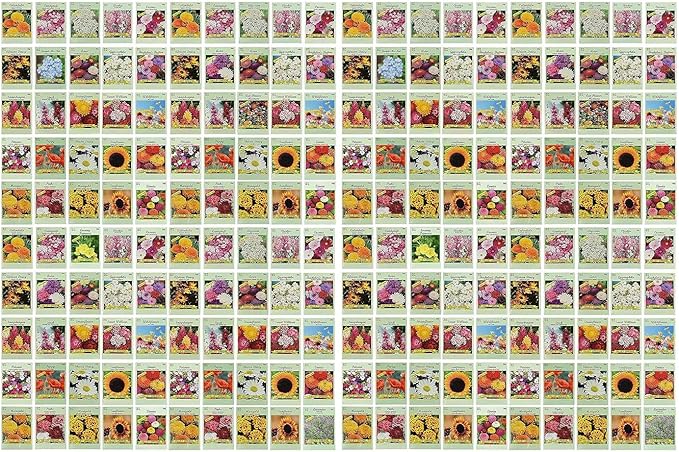 Black Duck Brand Set of 200 Flower Seed Packets! Flower Seeds in Bulk - Best Value Seeds - Great for Classrooms, Beginner Gardeners and Kids! - Deluxe Varieties! (200)