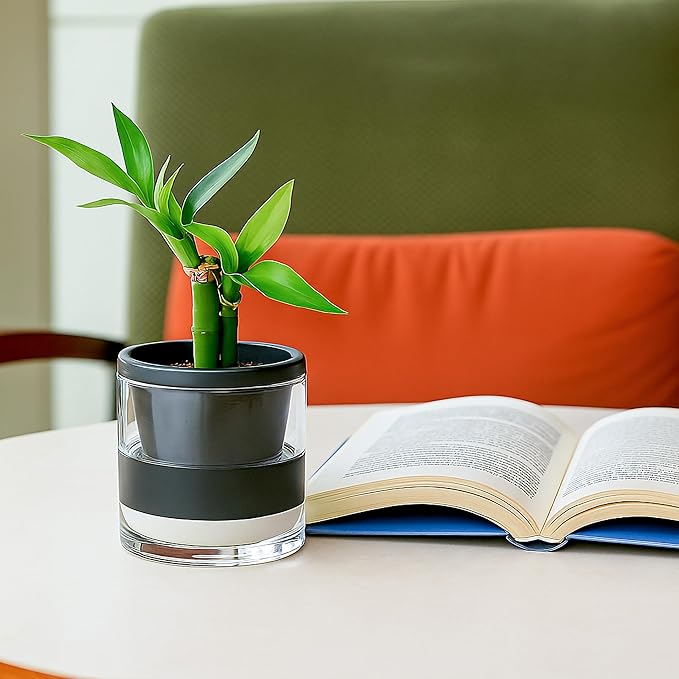 D'vine Dev 4 Inch Design Self Watering Planter for Indoor Plants, Black Terracotta Pot with Cylinder Glass Cup, Set of 2, 37-Y-A-3