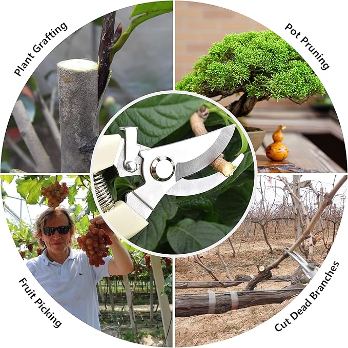 Garden Scissors for Plant, Tip Pruning Shears for Cutting Flowers, Trimming Plants, Bonsai and Fruits Picking (2 PC Bypass Blade Pruner)