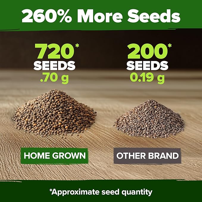 HOME GROWN Culantro Seeds - 720+ π‘π’π‘-ππ π’, π¨π¦π-π¦π’π¨π₯πππ Heirloom Herb Seeds for Planting, Slow-Bolting, Flavorful Cilantro Alternative, Great for Outdoor Herb Gardens (Eryngium foetidum)