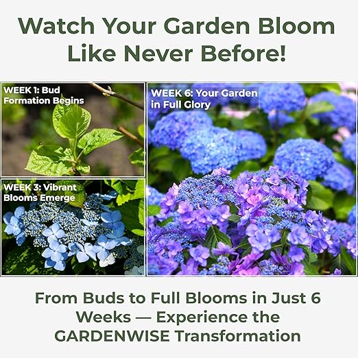 Slow Release Hydrangea Fertilizer with Iron & Sulfur β Indoor & Outdoor Soil Acidifier for Miracle Growth (1 qt)