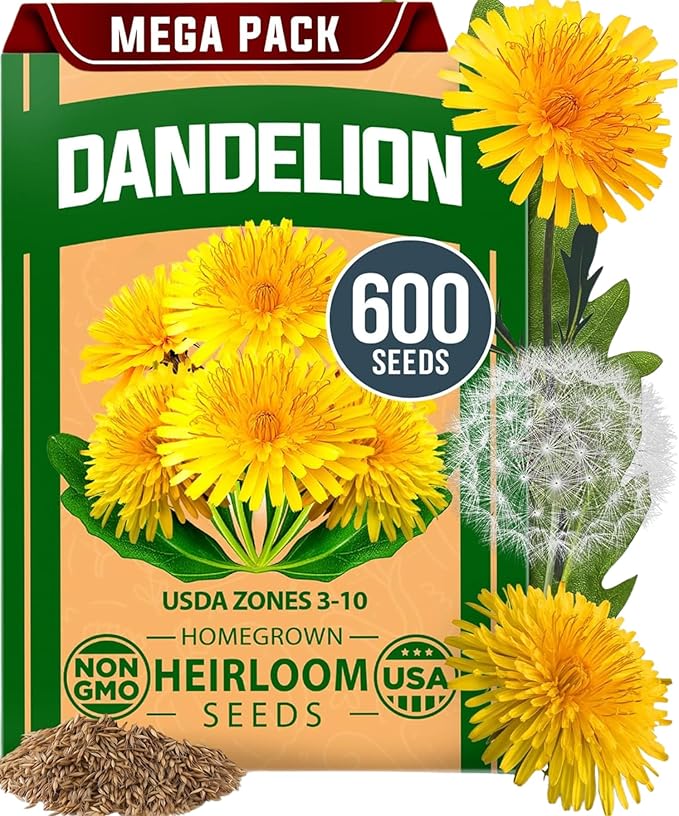 HOME GROWN π¨π¦π π£π₯ππ ππ¨π Dandelion Seeds for Planting β 600 Heirloom Medicinal Herb Seeds (~0.3g) π‘π’π‘-ππ π’ Grow Edible Leaves and Flowers for Remedies or Wildlife (Taraxacum officinale)