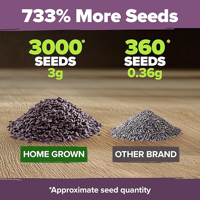 HOME GROWN π¨π¦π π£π₯ππ ππ¨π English Lavender Seeds 2 Pack 3000 π‘π’π‘-ππ π’ Wildflower Seed, for Planting Indoor Outdoor High Germination Flower Seeds (Lavandula antustifolia)