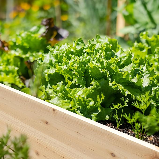 MUPATER 4x2FT Raised Garden Bed,Raised Garden Bed with Four Legs, Elevated Planter Box with Drainage Holes for Herbs and Vegetables, Outdoor and Indoor, Natural Wood