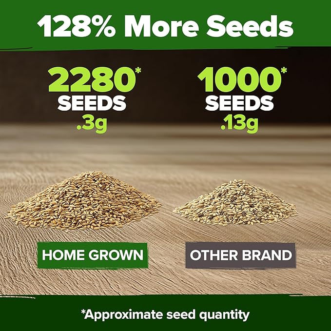 HOME GROWN π¨π¦π π£π₯ππ ππ¨π German Chamomile Seed Pack β 2,280 π‘π’π‘-ππ π’ Heirloom Seeds for Planting for Sustainable Gardens and Soothing Medicinal Herbal Teas (Matricaria chamomilla)