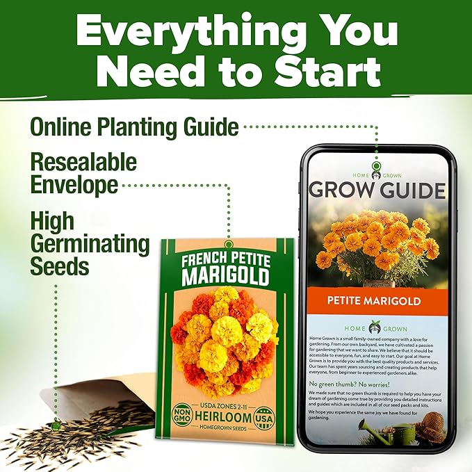 HOME GROWN π¨π¦π π£π₯ππ ππ¨π Petite French Marigold Seeds 329+ Flower Seeds for Planting Outdoors Easy to Grow Companion Plant & Quick Blooming Pollinator Heirloom Wildflower Seed (Tagetes patula)