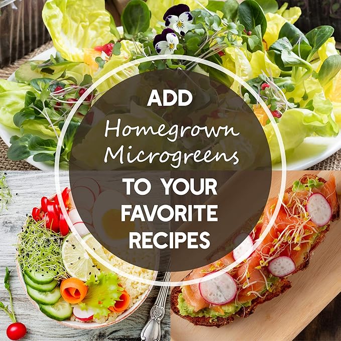 Radish Sprouting & Microgreens Seeds β Red Arrow Variety β 1 LB β Non-GMO, Heirloom β Fast-Growing, Spicy Radish Sprouts & Vibrant Micro Greens for Salads, Sandwiches, Smoothies & Indoor Gardening