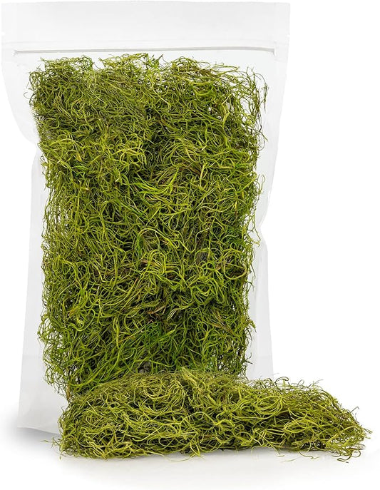Premium Spanish Moss in Spring Green| Natural Preserved - Great Ground Cover - Filler for Potted Plants - by GARDENERA - 4 Quart Bag