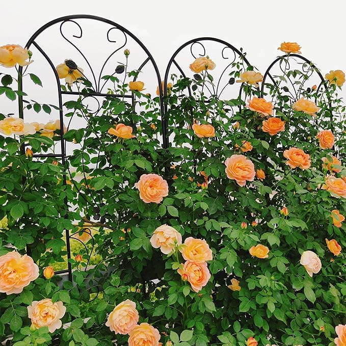 Metal Garden Trellis Rustproof Trellis for Climbing Plants Outdoor Flower Support Peacock Style (Black-4 Pack, 86.7"x19.7")