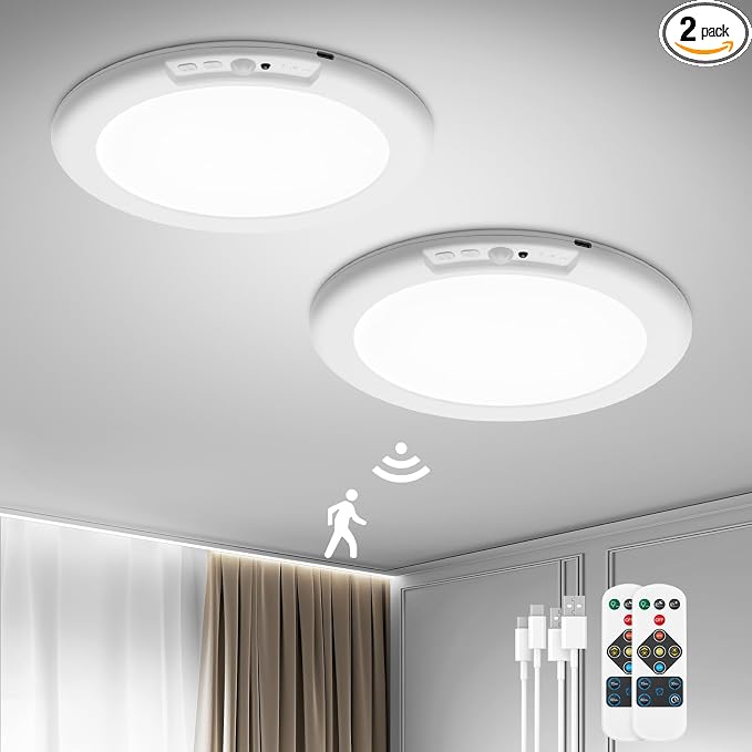 Ceiling Lights