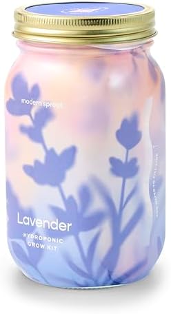 Modern Sprout Mason Garden Jar - Self-Watering Hydroponics Growing System Kit with Organic Herb Seeds - Jar Planter for Indoor Herb Garden - Seed Starter Kit - Home Decor & Gifting - Lavender