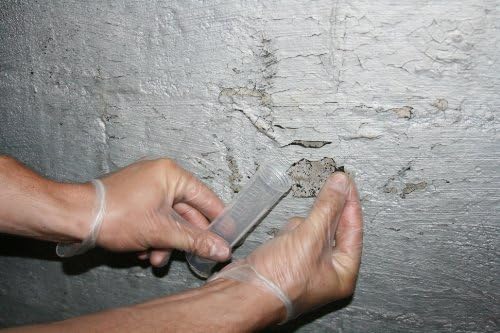 Lead Test Kit in Paint, Dust, or Soil 5PK (Sameday) Schneider Labs (Overnight Return Shipping)