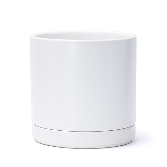 D'vine Dev 8 Inch Ceramic Planter Pot with Drainage Hole and Saucer, Indoor Cylinder Round Planter Pot, White, 94-O-D-1
