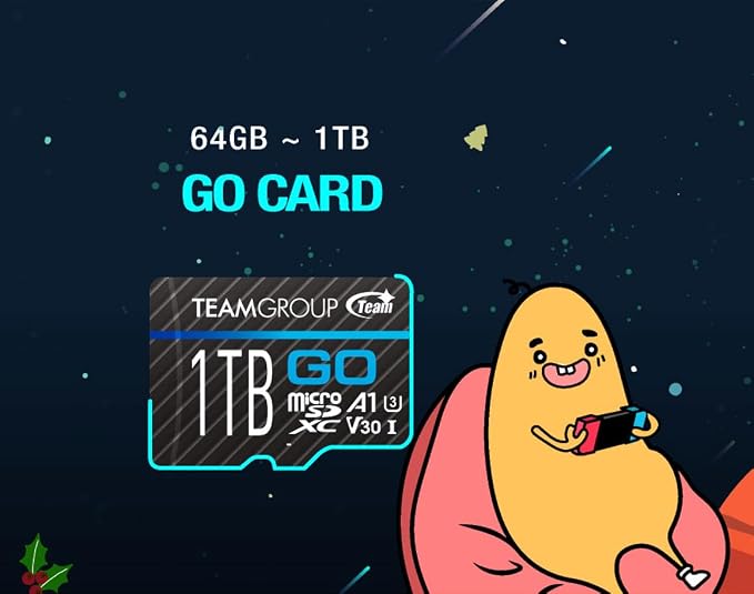 TEAMGROUP GO Card 256GB MicroSDXC UHS-I U3 V30 4K - Image 6