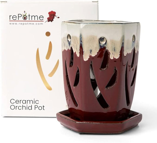 rePotme 4 x 6 inch Ceramic Orchid Pot (Cream Over Garnet) - Hexagon Orchid Pot with Holes