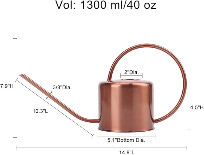 Remiawy Watering Can Indoor Outdoor Stainless Steel Watering Cans for House Plants Long Spout Water Can for Succulent Bonsai Garden Flower(40oz/1300ml)