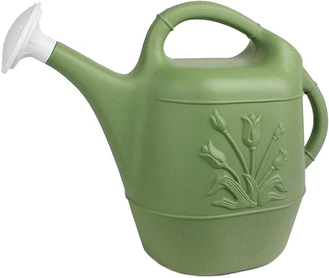 PMU 2 Gallon Watering Can - Garden Watering Can for Indoor & Outdoor Plants - Plastic Water Can with Detachable Sprinkler Head - Large Water Pot, Made in USA - Sage Green Pkg/1