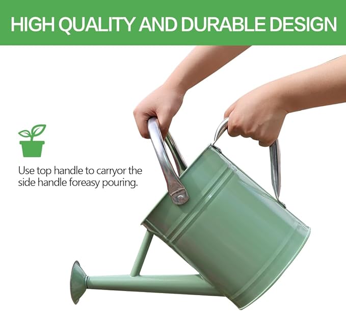 Metal Watering Can, One Gallon Watering Cans Stainless Steel for Outdoor Indoor Garden Plants Watering (Cream Green)