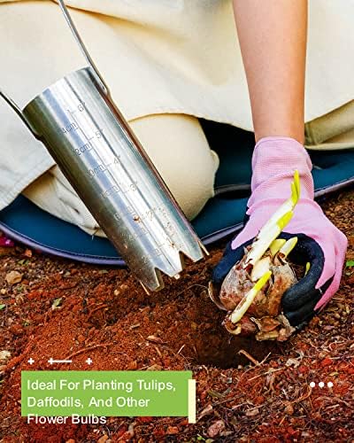 Bulb Planter Tool with 6 Inch Depth Measurment Tulip Bulb for Planting Tulip Daffodils Dahlias Garlics Bulbs Spring Fall Planting Handhold Planting Tool Garden Bulb Transplanter Hole Digger