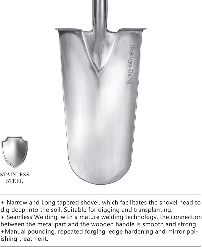 Berry&Bird Trenching Shovel, Garden Drain Spade Shovel with Wood Handle, 42.5" Stainless Steel Gardening Planting Spade, Heavy Duty Root Cutter Shovel Trench Shovel for Digging Transplanting & Edging