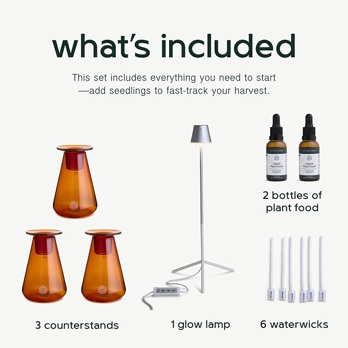 Counterstand Set – Vase Plant for Indoor Edible Garden Kit for Herbs & Lettuce – Small-Space Hydroponic System – Home Decor & Gifting – Without Live Plants